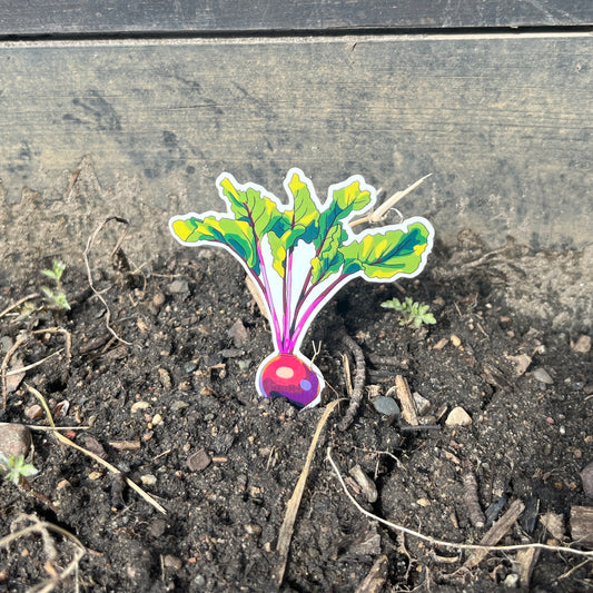Beet Sticker