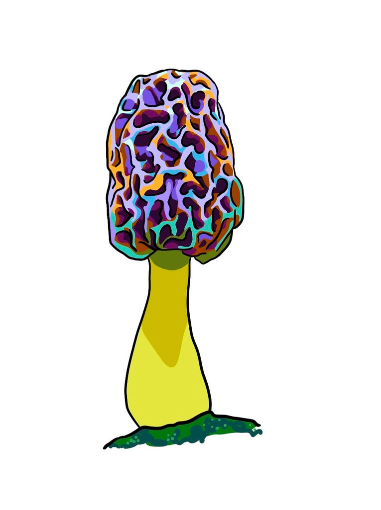 Morel Sticker
