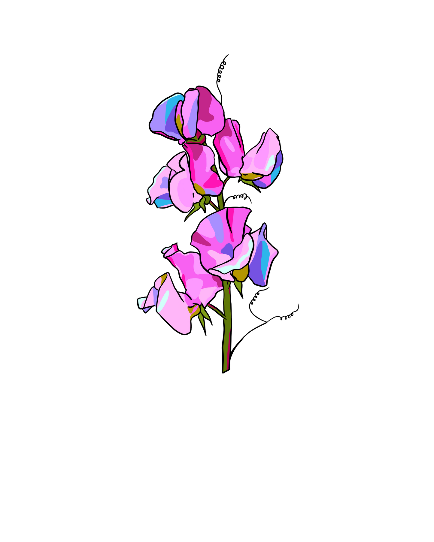 Sweet Pea Sticker