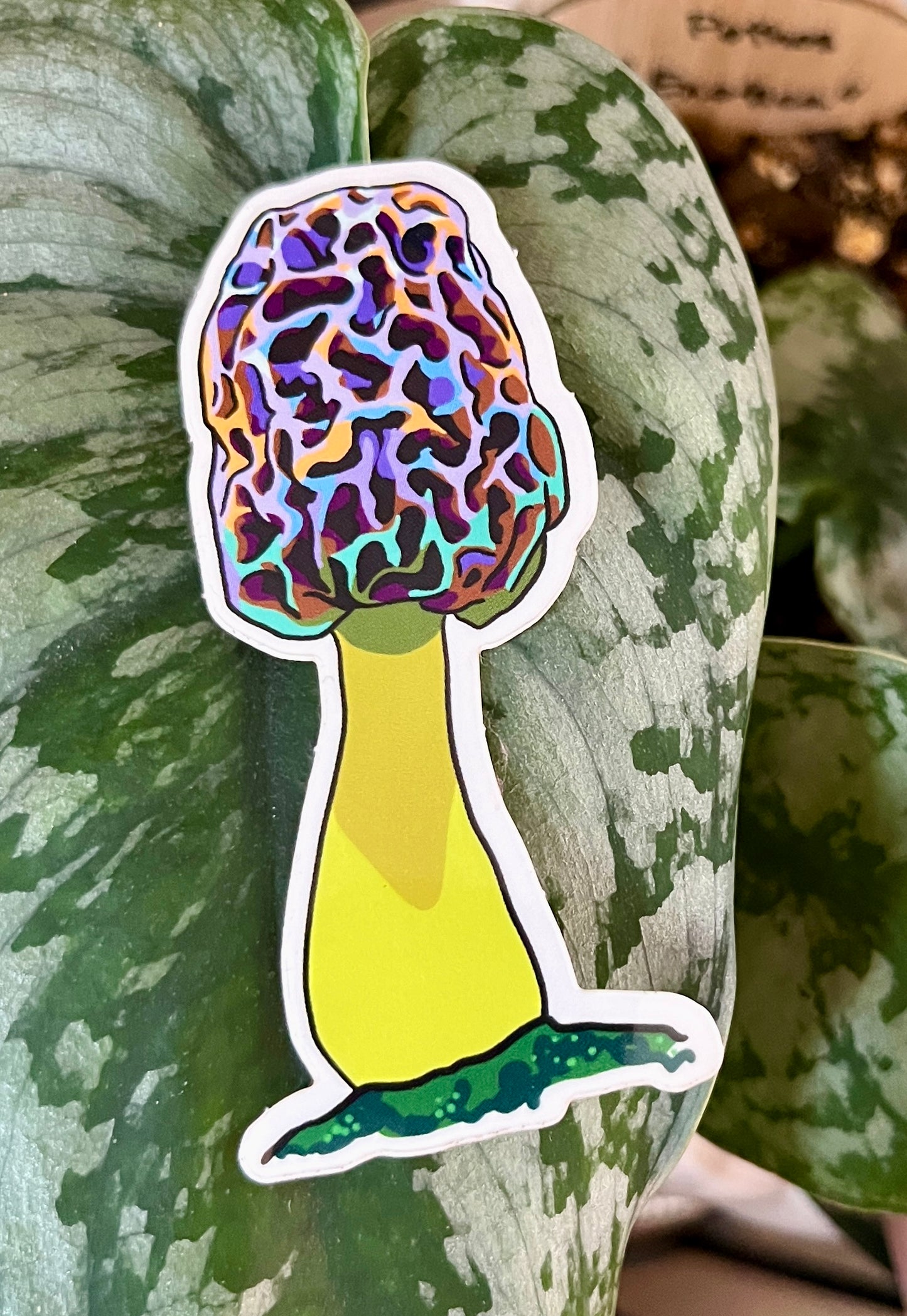 Morel Sticker