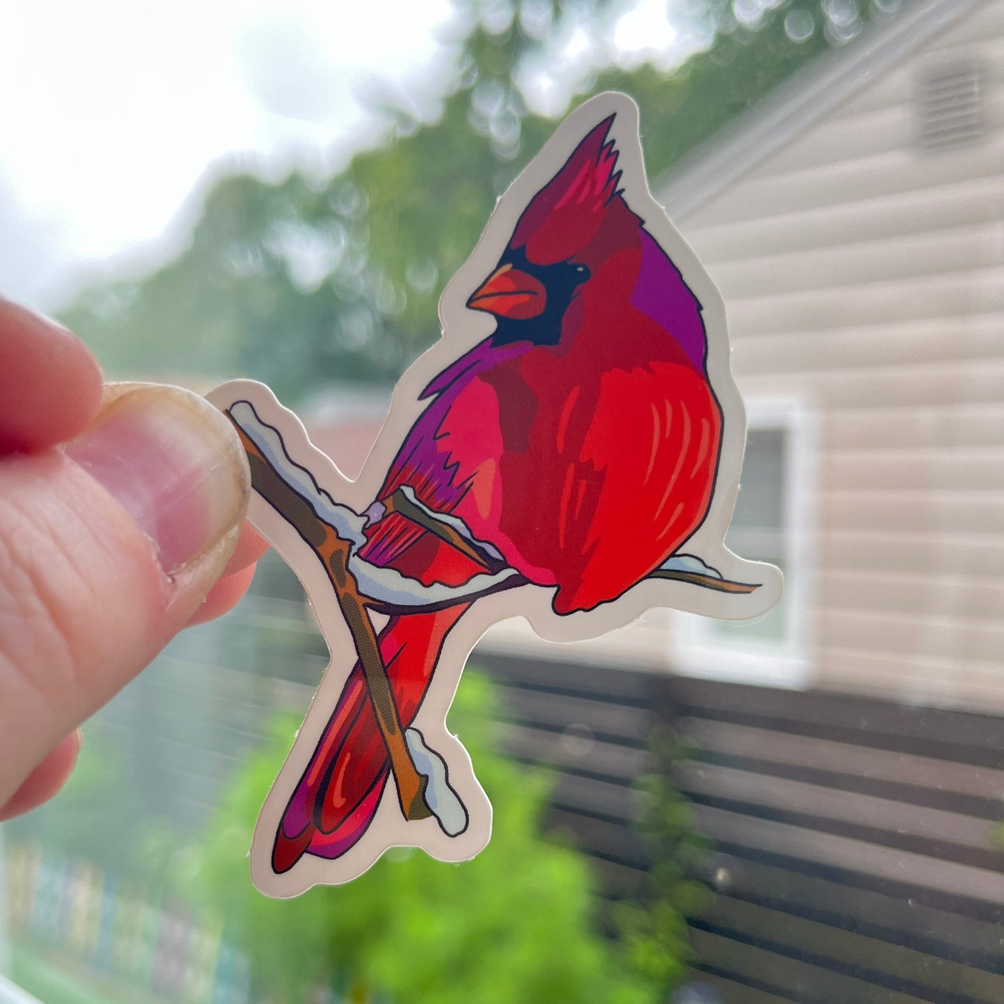 Cardinal Sticker