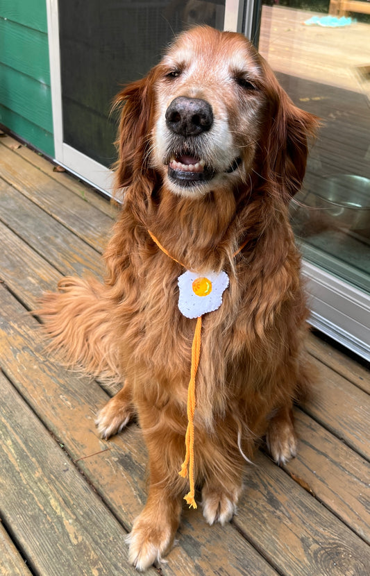 Egg Bolo Tie