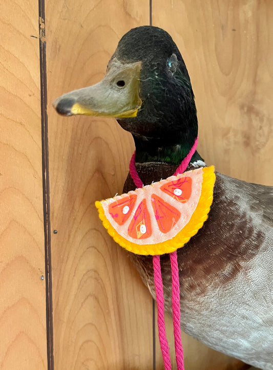 Grapefruit Bolo Tie