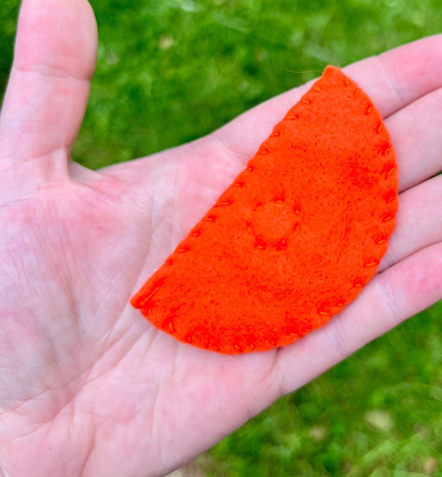 Citrus Magnets