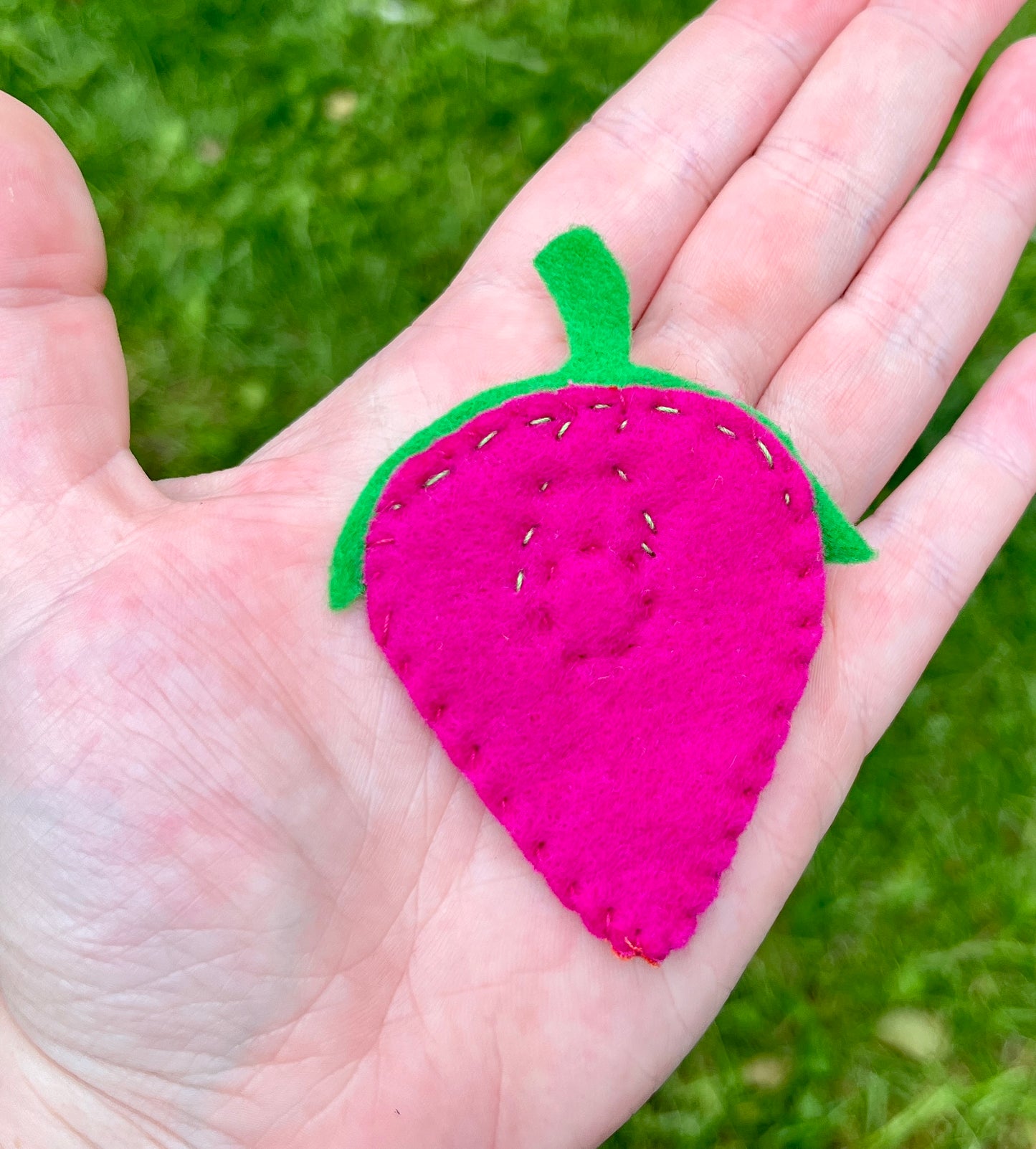 Fruit Salad Magnets